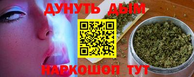 spice Камышлов