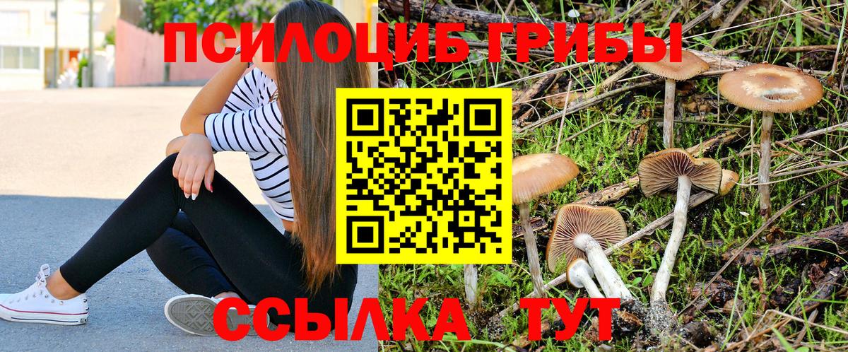 Кудымкар  Галлюциногенные грибы Cubensis  Вход с VPN  Галлюциногенные грибы мицелий 