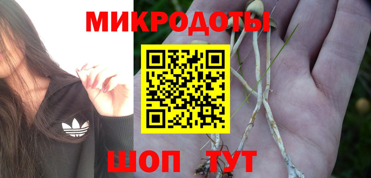 Псилоцибиновые грибы GOLDEN TEACHER Кудымкар