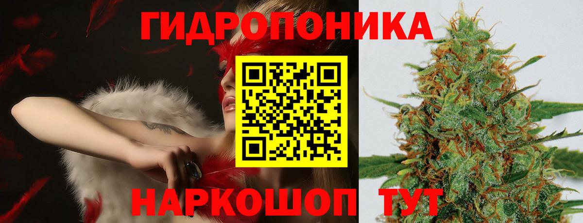 Бошки Шишки VHQ Кудымкар